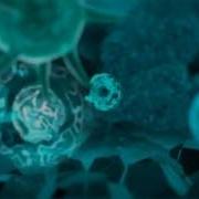 Dream Dance Alliance Love Official Video HD