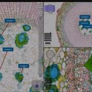 ViewPoint Viewer Software