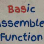 Basic Assembler Function