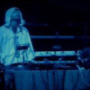 Fedayi Pacha Aman Aman Official Video Live