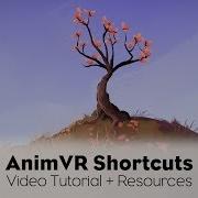 AnimVR Shortcuts Tutorial Flutter By