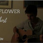 Ghost Badflower COVER