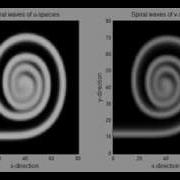 Simulating Reaction Diffusion Model Resulting In Spiral Waves