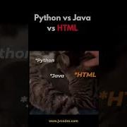 Python Vs Java Vs HTML Python Java Html Shorts