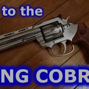 Да Наконец то нашёл хорошие деревянные рукоятки для King Cobra Target 22