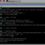 Set JAVA HOME For Raspbian Pre Loaded Java 1 8 0