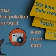 DML Data Manipulation Language SQL For Data Professionals Topic 2