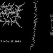 Spy Playback Studios San Jose Ca Nov 23 2022