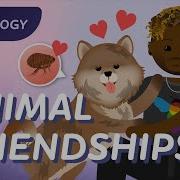 Community Ecology Interspecies Interactions Crash Course Biology 6