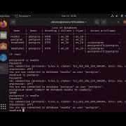 How To Create Read Only User In PostgreSQL Step By Step