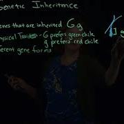 Genetic Inheritance 1