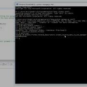 Debugging Django Tip Using The Interactive Shell