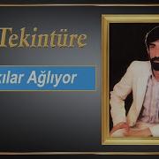 Ali Tekintüre Ne Fayda