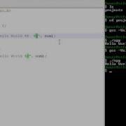 C Programming Level 2 Printf Variables Operations