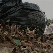 Despite Recycling Suspension Some Yard Waste Not Picked Up