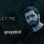 Lewis Capaldi Forget Me Grayybird Cover