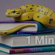 MASTERING PYTHON Dictionaries In 1 Minute Changed Everything