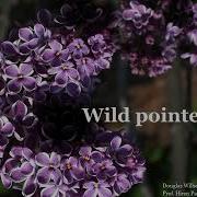 2 05 1 Wild Pointers