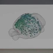 Revolutionary Brain Mapping Hundreds Of Neurons Tracked In A Week