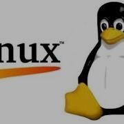 Shell Scripting Switch Case