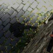 CSS Dnb Clip By Flaxboi