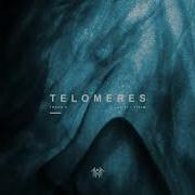 Sleep Token Telomeres Visualiser