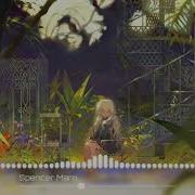 Fireflies Spencer Maro