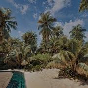 Unreal Engine 5 Cinematic Water Foliage Physics Coastal Environment