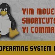 Основы операционной системы Linux Команда Vi Горячие клавиши навигации в VIM Часть 5