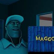 Maggots