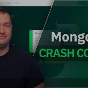 MongoDB Crash Course 2022