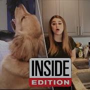 Our Favorite News Reporters Working From Home Bloopers
