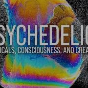 Psychedelics Chemicals Consciousness And Creativity World Science Festival