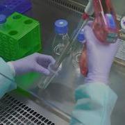 How To Passage Cells Cell Culture Basics Training