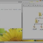 Using The Cp Copy Command In Linux