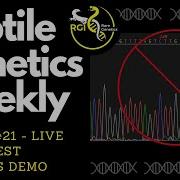 Ep 21 Live Morph Test Analysis Demo