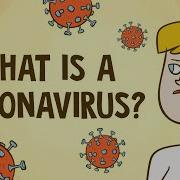 What Is A Coronavirus Elizabeth Cox
