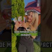 КАКОЕ МОРОЖЕНОЕ РАСТАЕТ ПОСЛЕДНИМ Эскимо рожок и фруктовый лед
