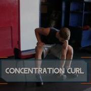 Concentration Curl How To Do Dumbbell Concentration Curls