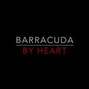 Heart Barracuda 1977 Lyrics HD