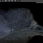 TurkeyHead CT Scan From OSU Volume Rendered In UE4