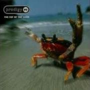 The Prodigy Narayan HD