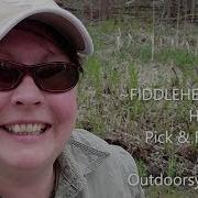 FIDDLEHEADS How To Pick Freeze By Outdoorsygal O