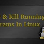 View And Kill Running Programs In Linux