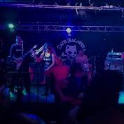 Cacofonia Song 1 Gato Calavera México CDMX 2025