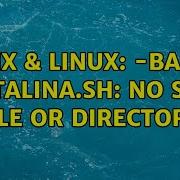 Unix Linux Bash Catalina Sh No Such File Or Directory