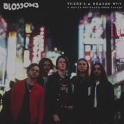 Blossoms There S A Reason Why I Never Returned Your Calls Audio