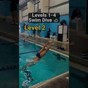 How To Dive For Swimming Levels 1 4