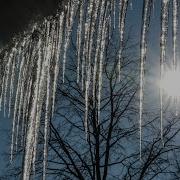 С Трофимов Я знаю точно растает лед