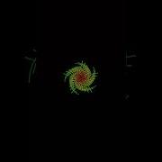 Amazing Geometric Design Using Python Turtle Python Coding Viral Trending Design Trending